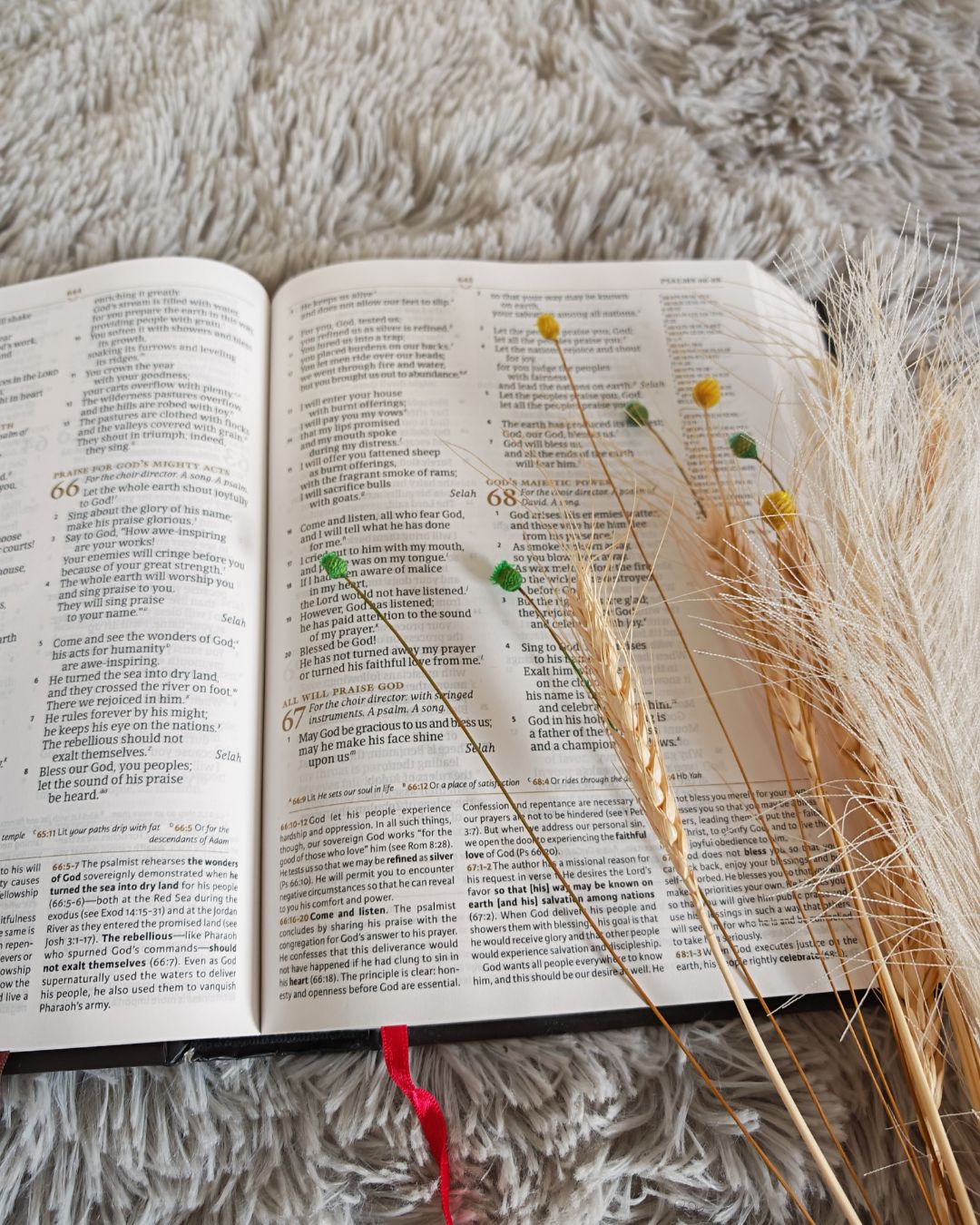 10 Encouraging Bible Verses for Women About God’s Love 